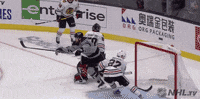 Celebrate Ice Hockey GIF by NHL