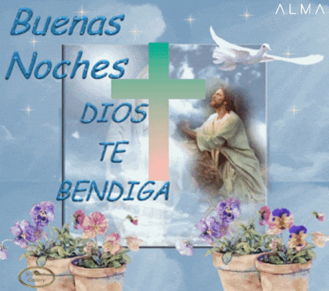alma-b1a5 giphygifmaker giphyattribution buenas noches dtb GIF