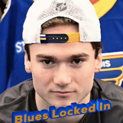 St Louis Blues GIF by STL From Above