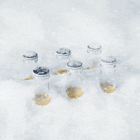 coronacanada snow corona snow storm corona weather GIF