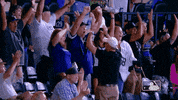 Major League Baseball Sport GIF by MLB