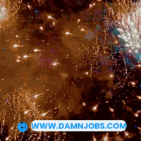 United States Celebration GIF by Damnjobs