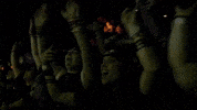 Concert GIF by Better Noise Music