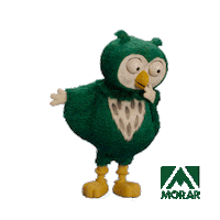 Owl Searching Sticker by Morar Construtora