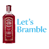 Gin And Tonic Cheers Sticker by Bombay Sapphire