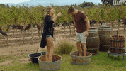 Jojo Fletcher Wine GIF by The Bachelor