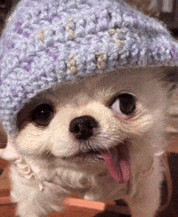 Confused Good Morning GIF