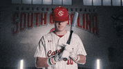 South Carolina Baseball GIF by gamecocksonline