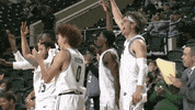 College Basketball GIF by Ohio Bobcats