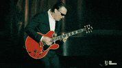 Flying V Rock GIF by Joe Bonamassa