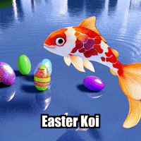 Koi Fish Easter GIF by TheConfishius