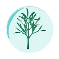 HelenaRubinsteinwwd skincare cream serum tool Sticker