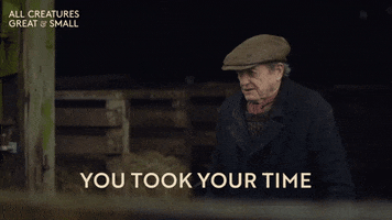 Waiting GIF by All Creatures Great And Small