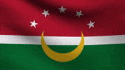 علم GIF