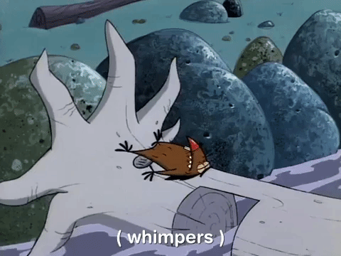nickrewind giphydvr nicksplat angry beavers giphyab002 GIF