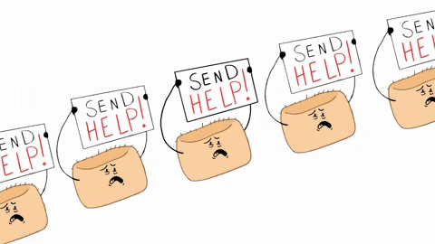 thekatcurtis giphyupload GIF