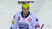 Ambri-Piotta Laughing GIF by Champions Hockey League