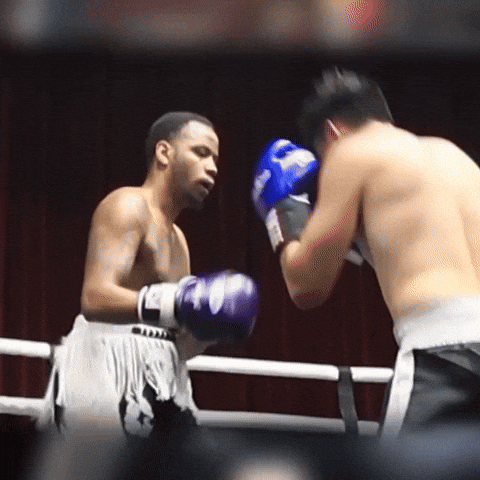 Punch Ko GIF