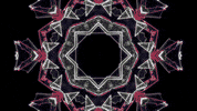 music festival art GIF by Bonnaroo Music and Arts Festival