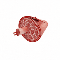 Dhooghevoeding horse premium paard dhooghe GIF