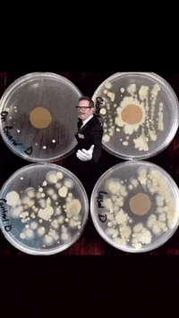 Diffuse Essential Oils GIF by Jennifer Accomando