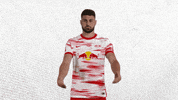 Come Here Lets Go GIF by RB Leipzig