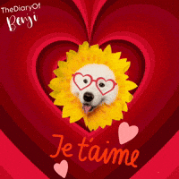 Amour Valentin GIF