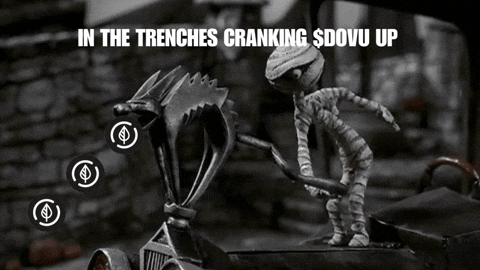 dovu giphyupload crypto rwa hedera GIF