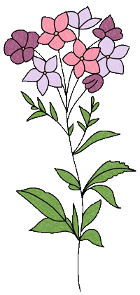 Flowers Sticker