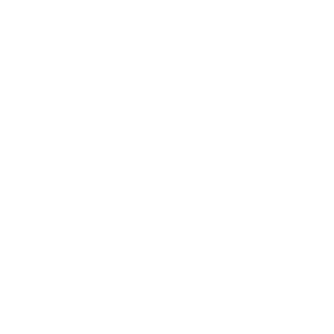 Star Shine Sticker