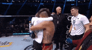 Happy Mixed Martial Arts GIF by UFC