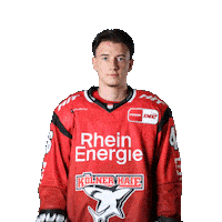 Hockey Nhl Sticker by Koelner Haie