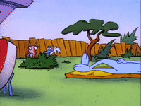 rockos modern life nicksplat GIF