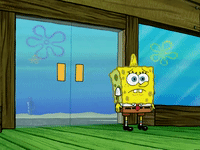 season 5 GIF by SpongeBob SquarePants