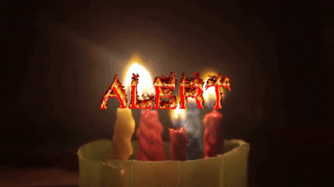 Pamfletim GIF by Tim Pamflet