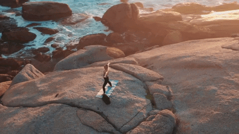 MeijiCoin giphygifmaker black gold bitcoin GIF