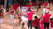 excited let's go GIF by NBA