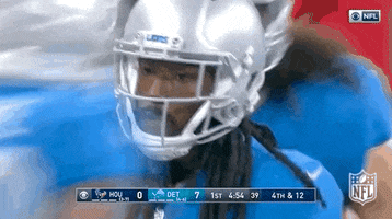 Detroit Lions Football GIF by NFL