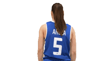Sport Basketball Sticker by Basket_fi