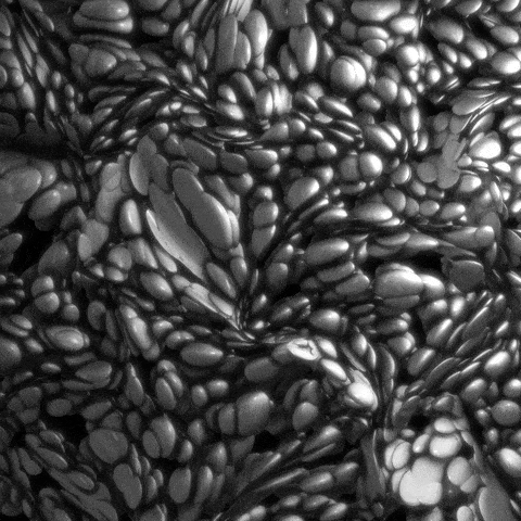 Loop Pearls GIF by xponentialdesign