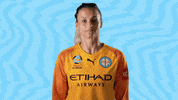 GIF by Melbourne City