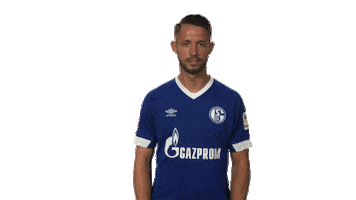 schalke 04 wtf Sticker by Bundesliga