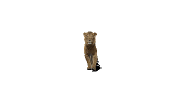 Assemble The Lion King Sticker by Walt Disney Studios