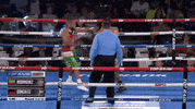 toprank fight boxing fighting espn GIF
