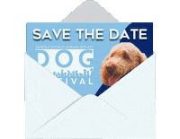 Homesfordogs Sticker by Coldwell Banker Southwest Realty