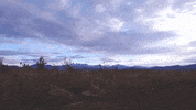 washington GIF