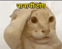 Marathi Bala GIF by HackerMarathi.IN