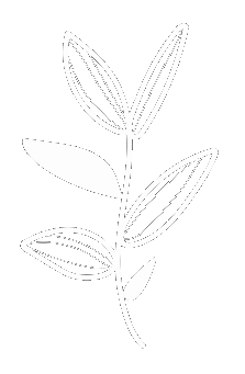 Leaves Vibe Sticker by Conviteria Com Amor