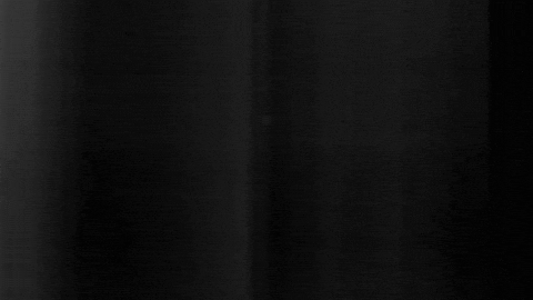 Football Sport GIF by SK Sturm Graz