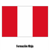 Peru Flag GIF by Formación Ninja